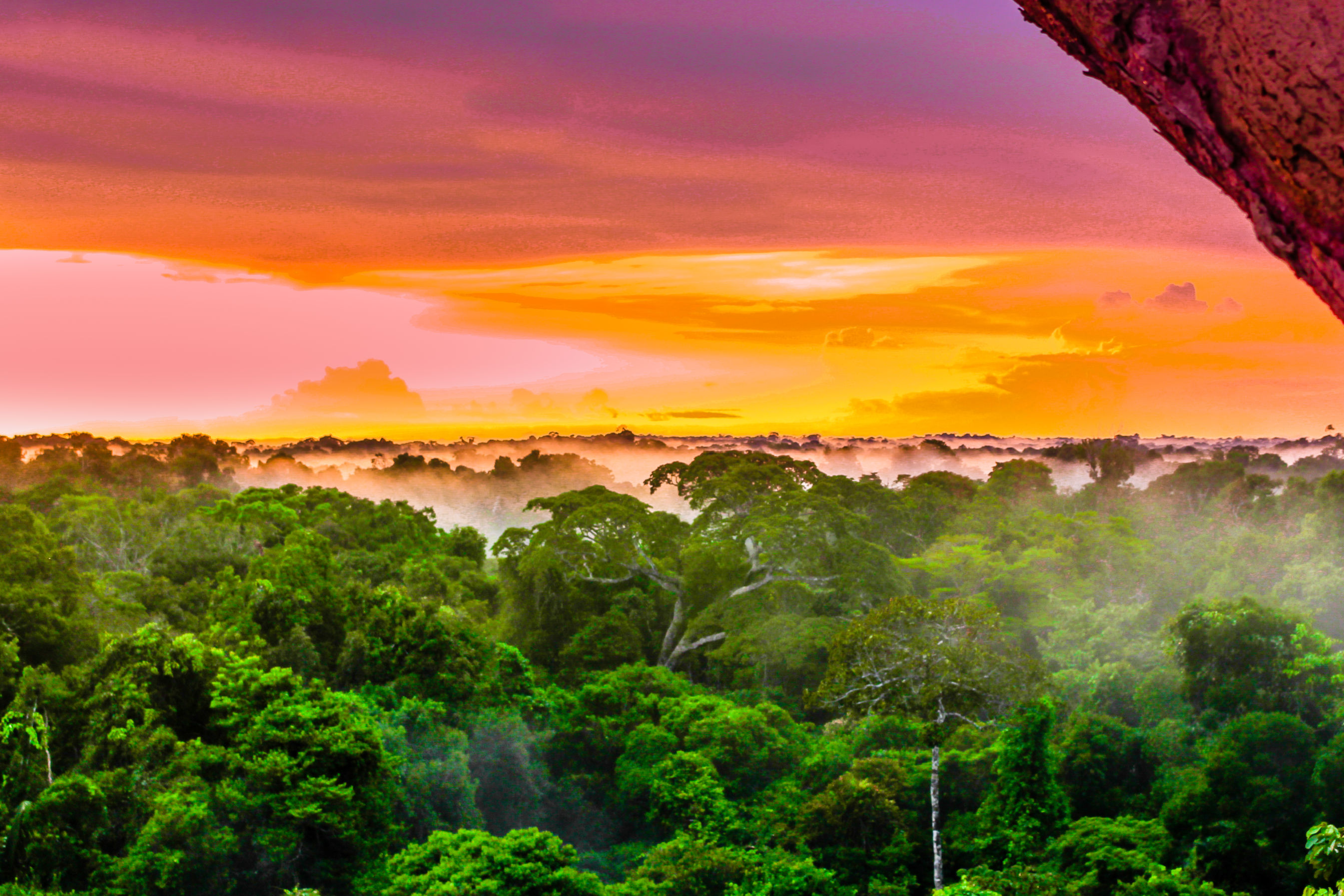 Colombian Amazon Sunset