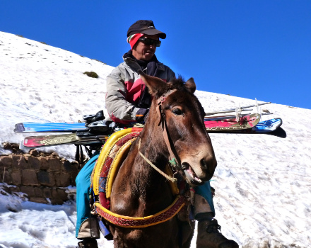 Guide on a mule carrying skis across a snowy slope in the Atlas Mountains of Morocco