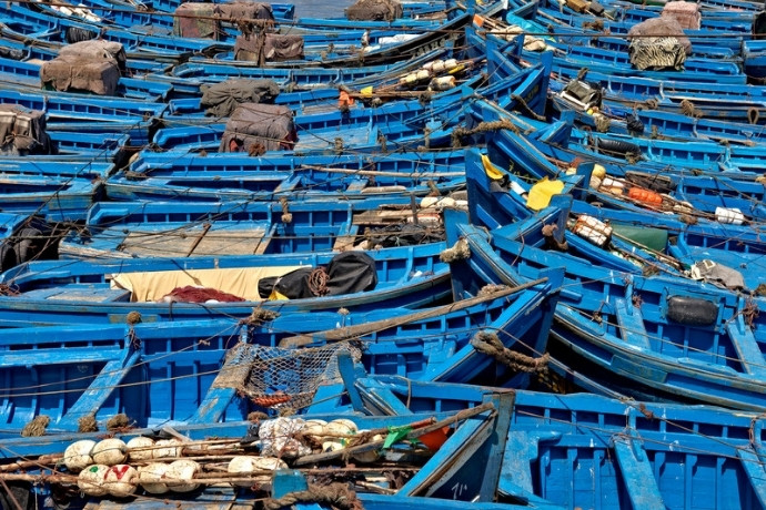 Blue fishing boats crowded together in Essaouira harbour