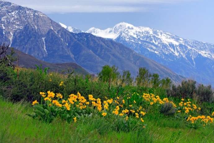 Top 5 Untravelled Paths Spring Adventures